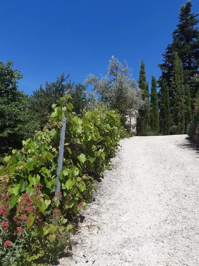 Bed & Breakfast Maison D'Hotes 