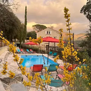 La Viste - Spa-jacuzzi - Massage- Sauna - 4 Saisons - Piscine Chauffee Toute L'annee - Heated Pool - 800m Centre Bed & Breakfast